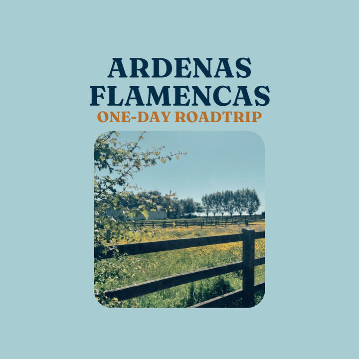 Ardenas Flamencas Ardenas Flamencas